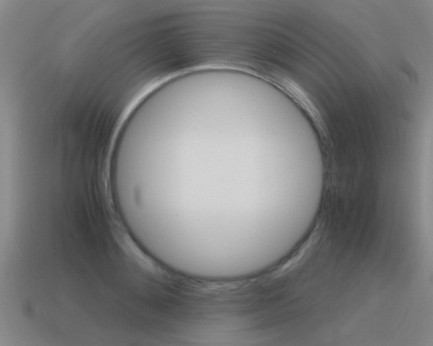 X0000115640892200911101053