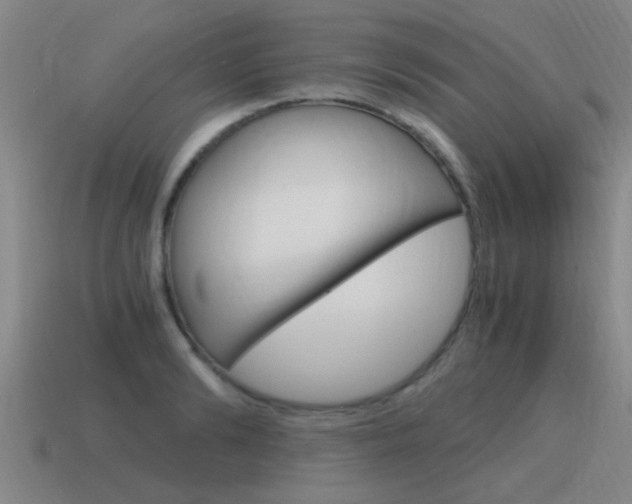 X0000115640894200911101053