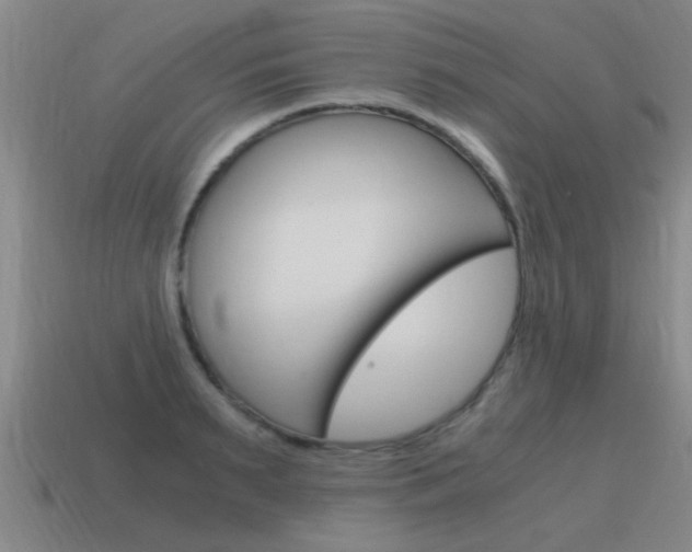 X0000115640895200911101053