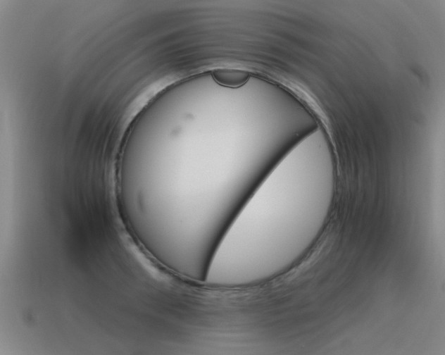 X0000115640898200911101053