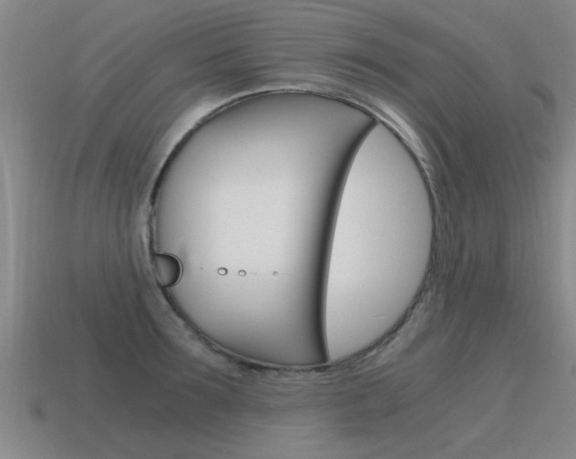 X0000115640899200911101053