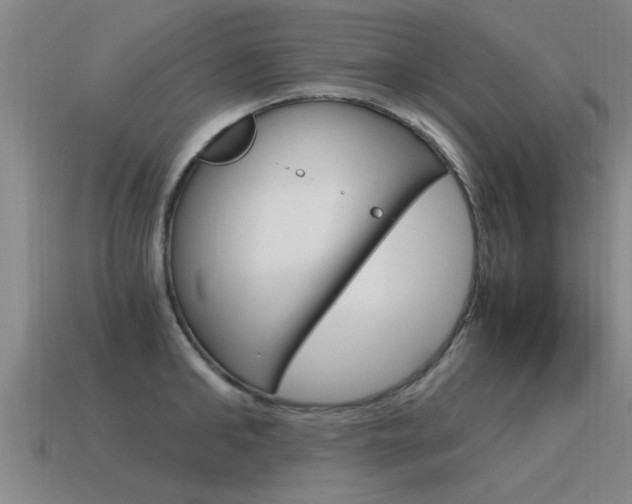 X0000115640902200911101053