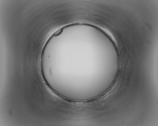 X0000115640903200911101053