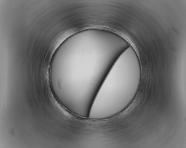 X0000115640906200911101053