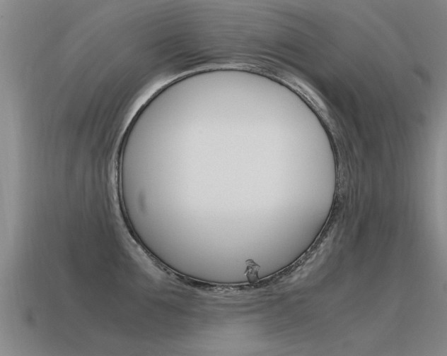 X0000115640907200911101053
