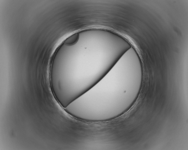 X0000115640910200911101053