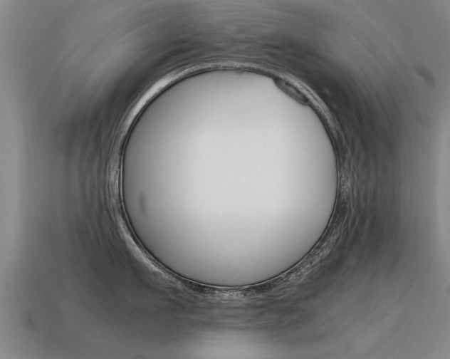 X0000115640911200911101053