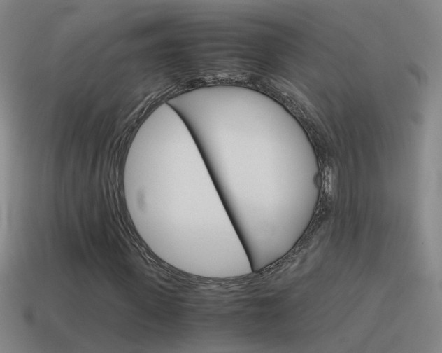 X0000115640915200911101052