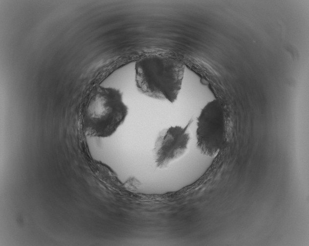 X0000115640917200911101052