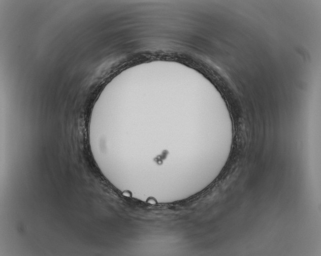 X0000115640918200911101052