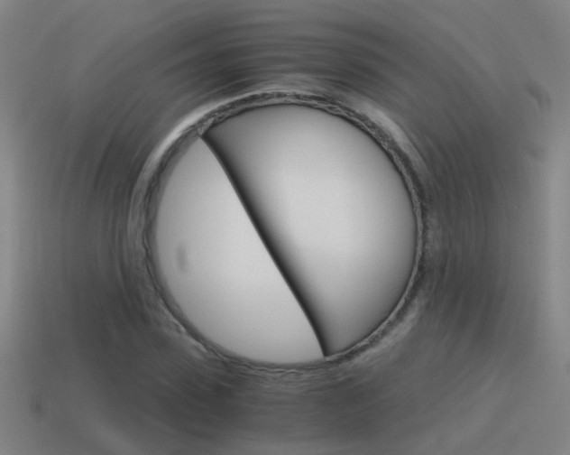 X0000115640923200911101052
