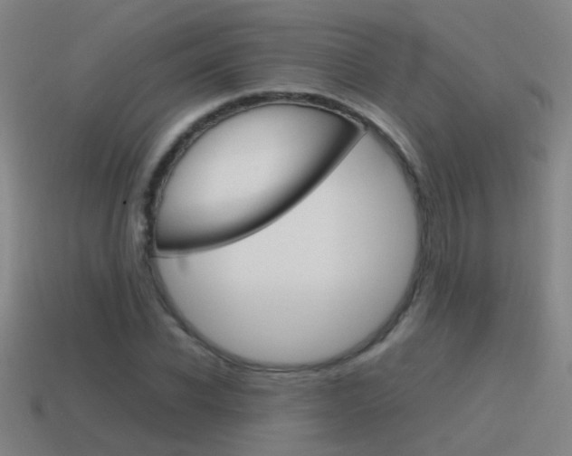 X0000115640926200911101052