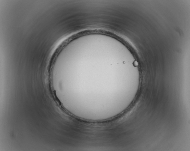 X0000115640927200911101052