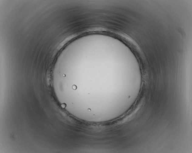 X0000115640929200911101053