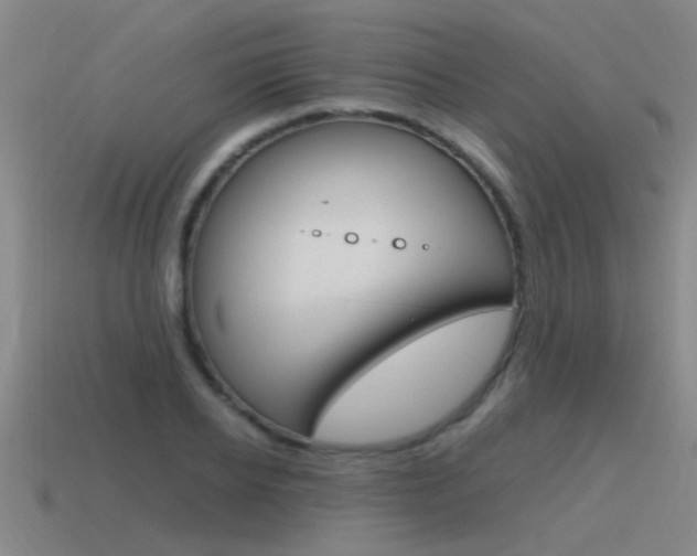 X0000115640934200911101053