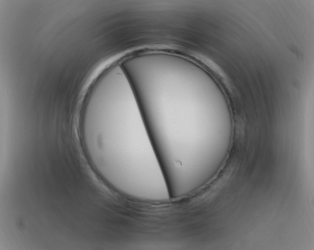 X0000115640935200911101053