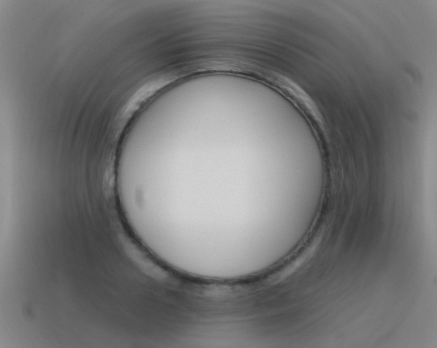 X0000115640938200911101053