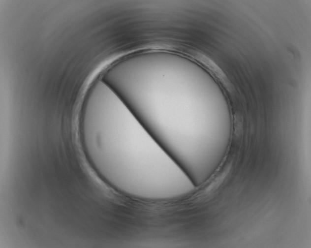 X0000115640939200911101053