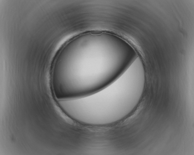 X0000115640942200911101053
