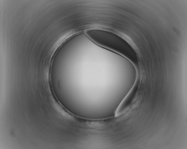 X0000115640946200911101053