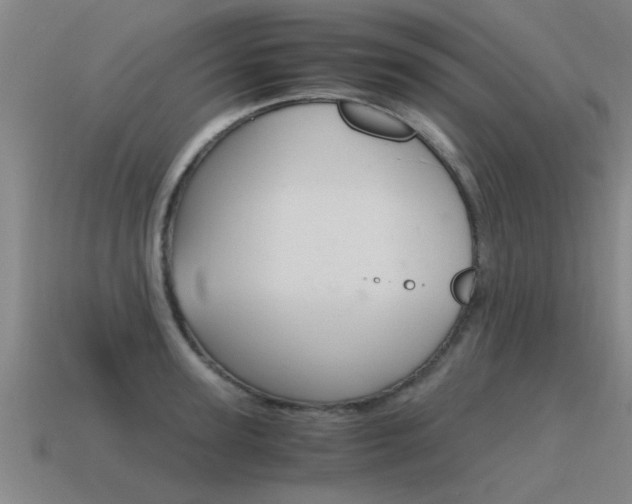 X0000115640947200911101053
