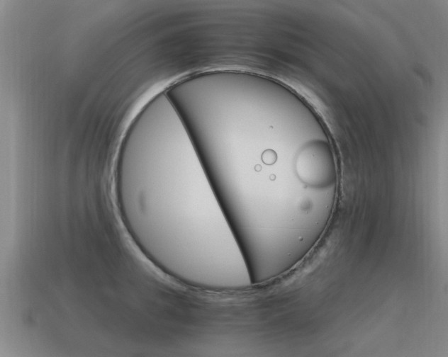X0000115640949200911101053