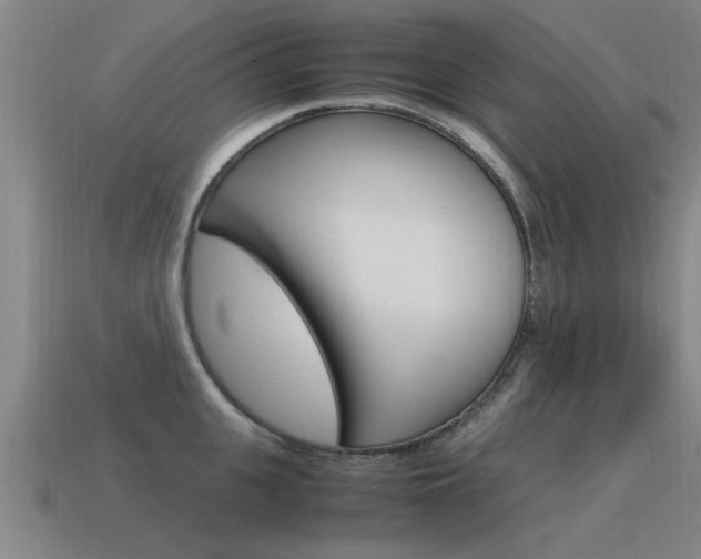 X0000115640951200911101053