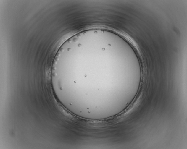 X0000115640953200911101053