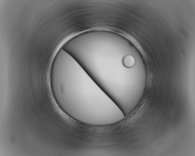 X0000115640955200911101053