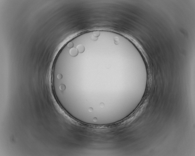 X0000115640957200911101053