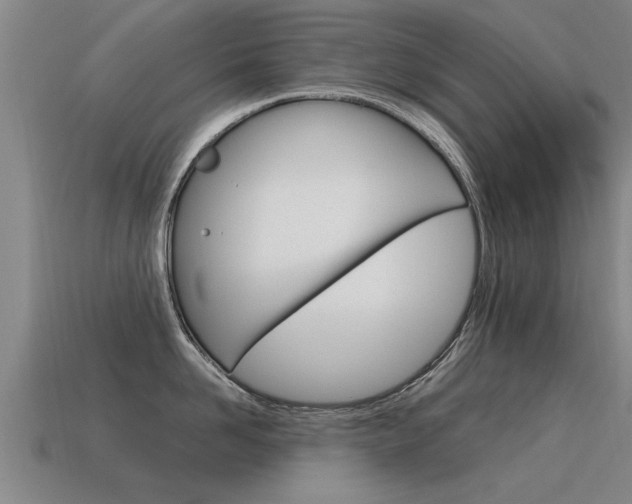 X0000115640958200911101053