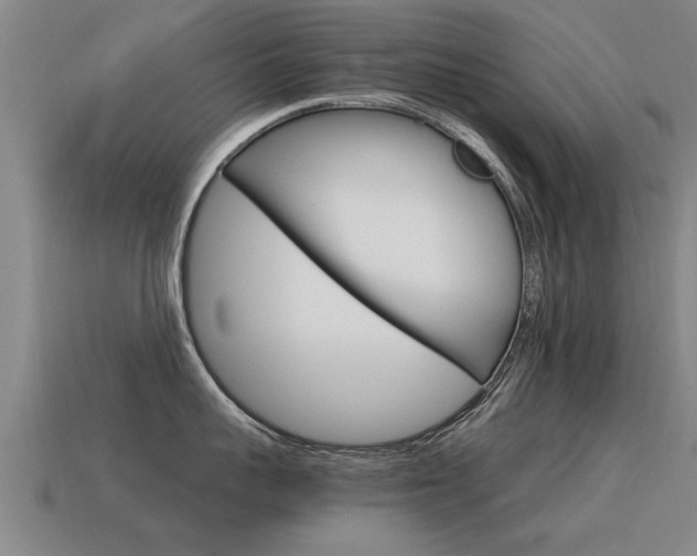 X0000115640959200911101053