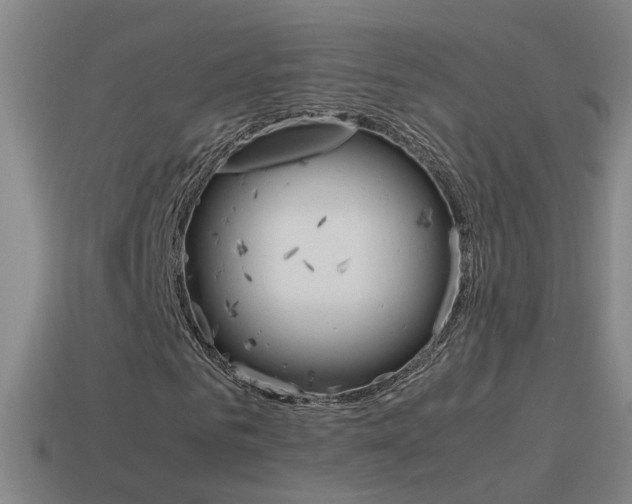 X0000115640961200911101052