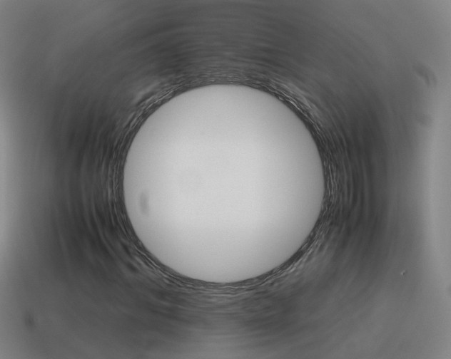 X0000115640964200911101052