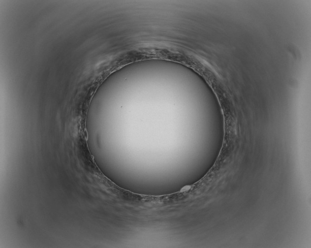 X0000115640965200911101052