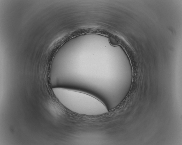 X0000115640967200911101052