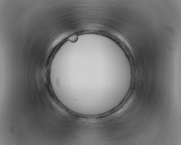 X0000115640970200911101052