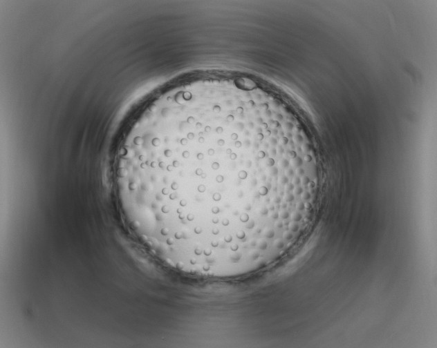 X0000115640974200911101052