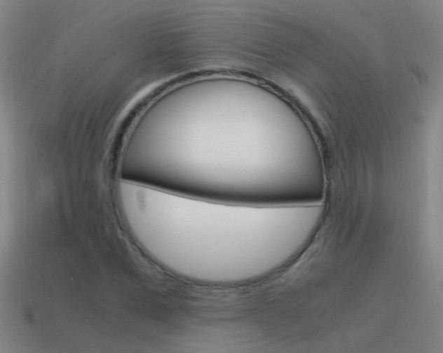 X0000115640975200911101052