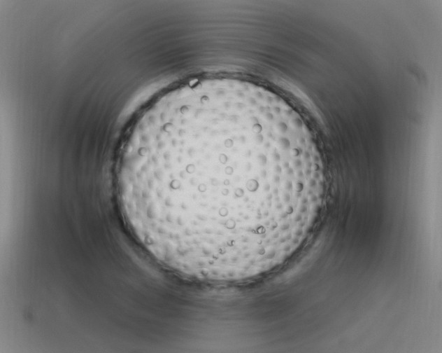 X0000115640978200911101052