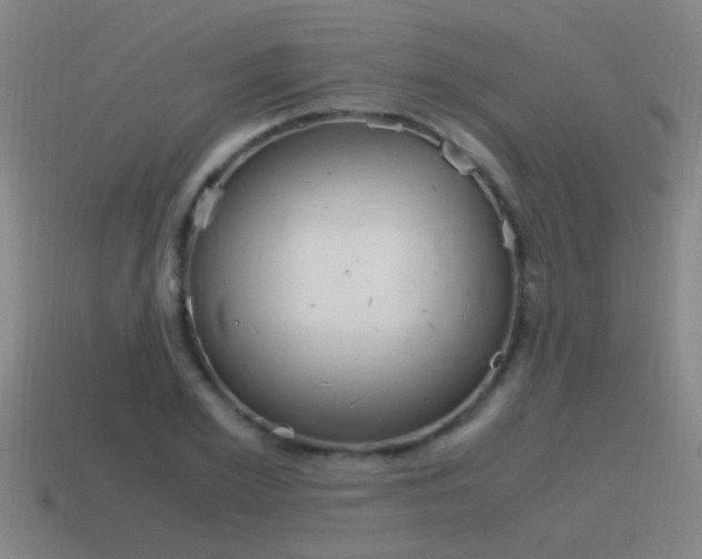 X0000115640981200911101052
