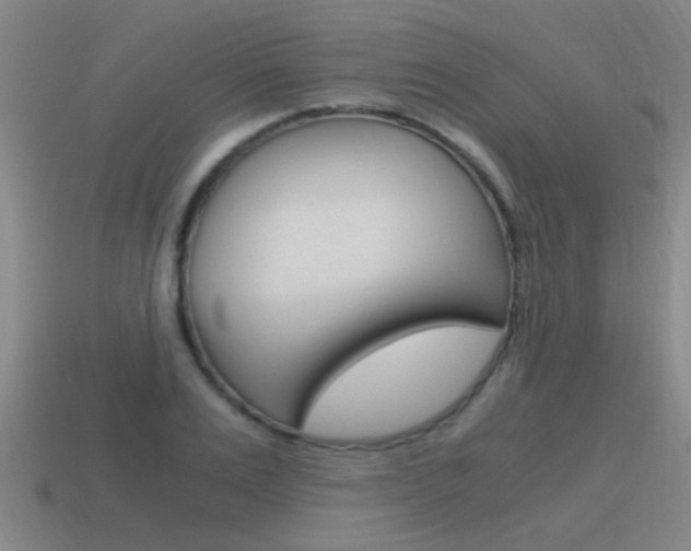 X0000115640983200911101052