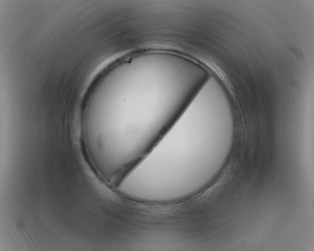 X0000115640984200911101052