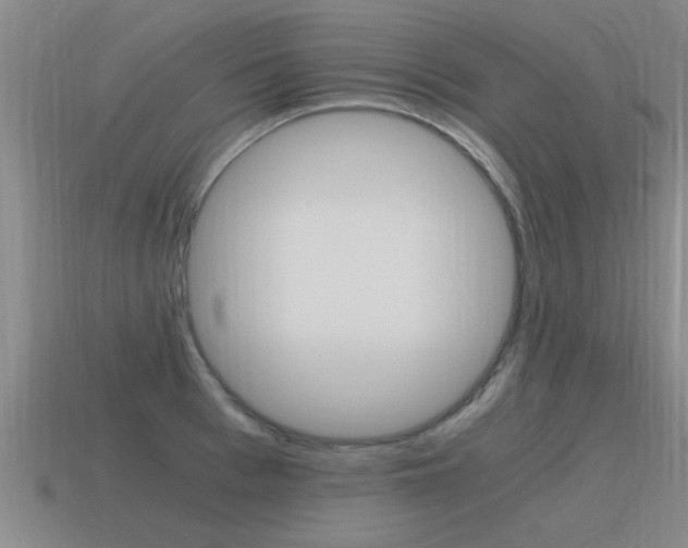 X0000115640993200911101052