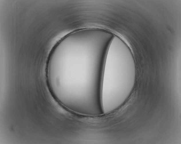 X0000115640995200911101052