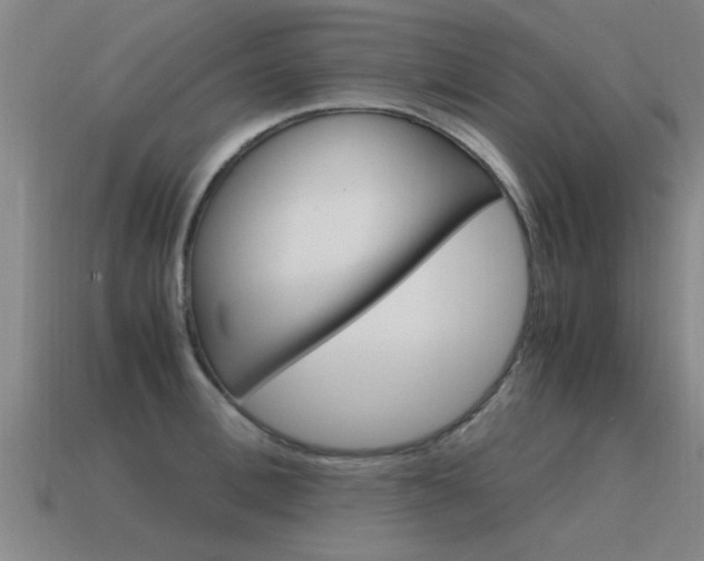 X0000115640996200911101052