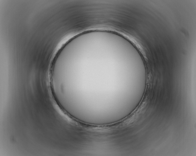 X0000115640998200911101052