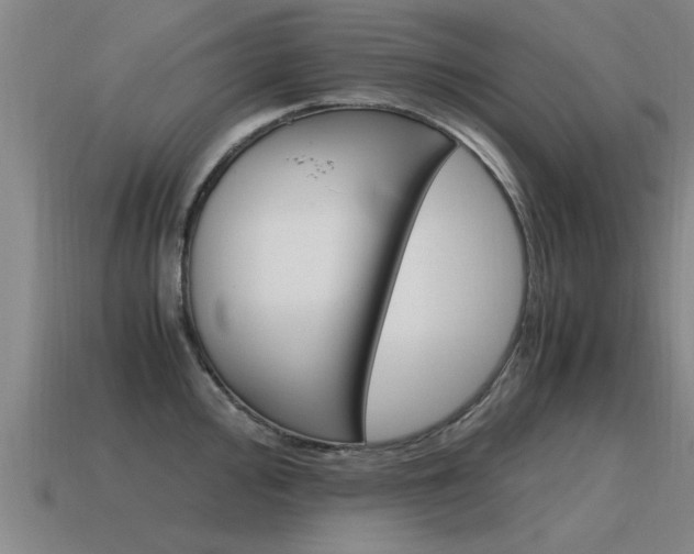 X0000115641000200911101052