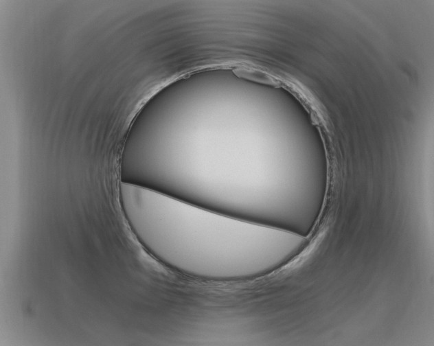 X0000115641001200911101052