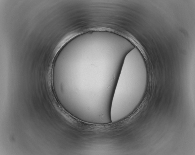X0000115641002200911101052